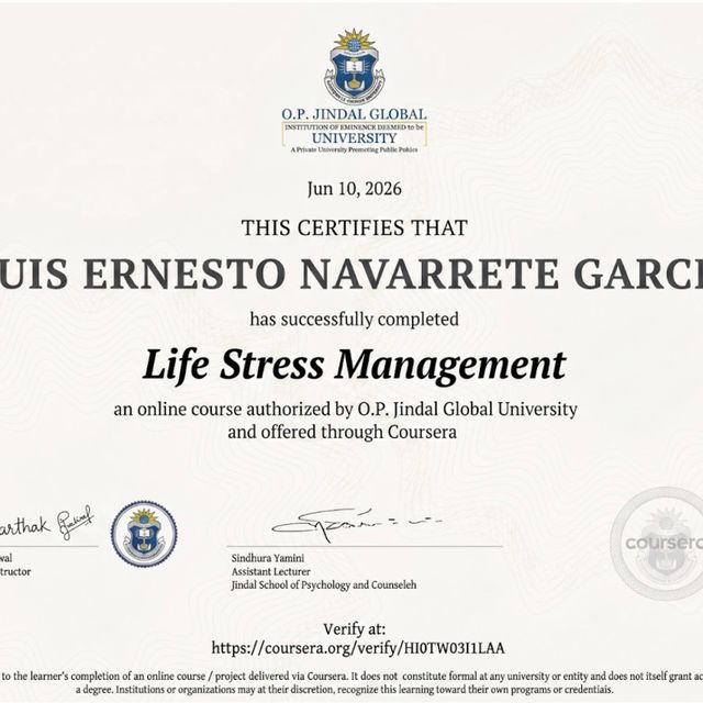 Ampliar imagen: certificate 4