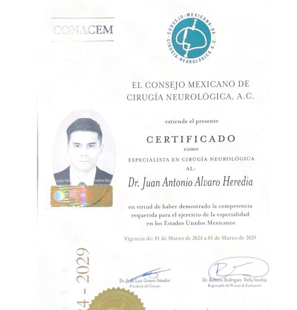 Ampliar imagen: certificate 1