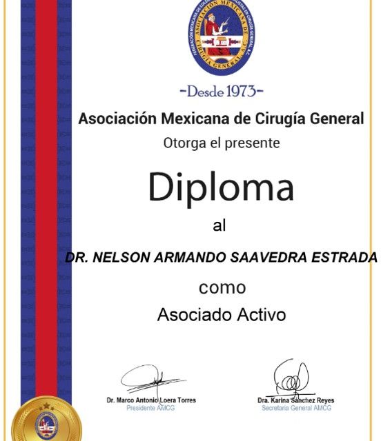 Ampliar imagen: certificate 5