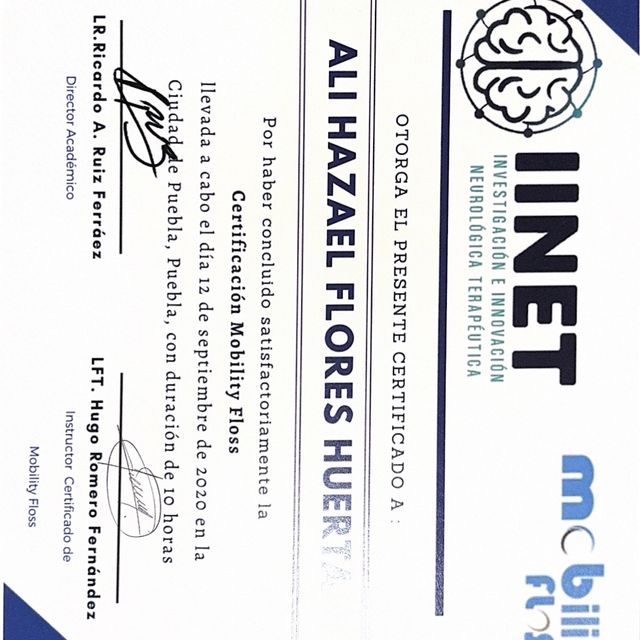 Ampliar imagen: certificate 3