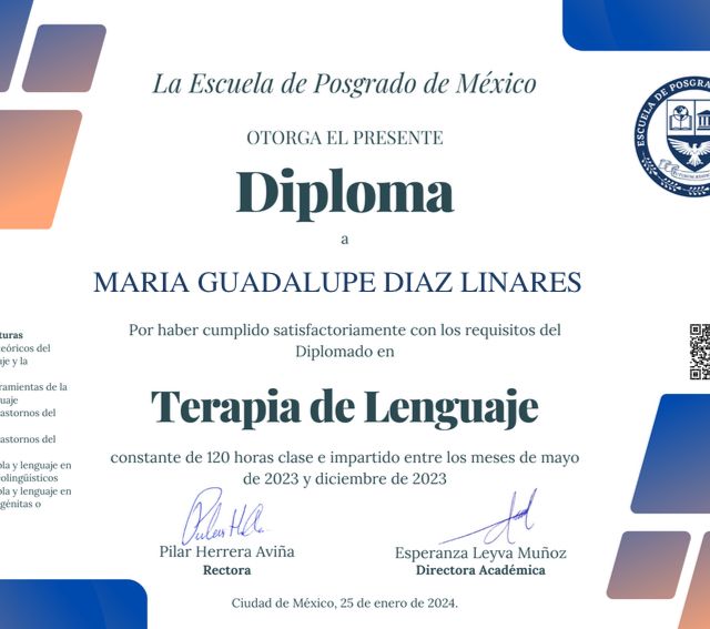 Ampliar imagen: certificate 2