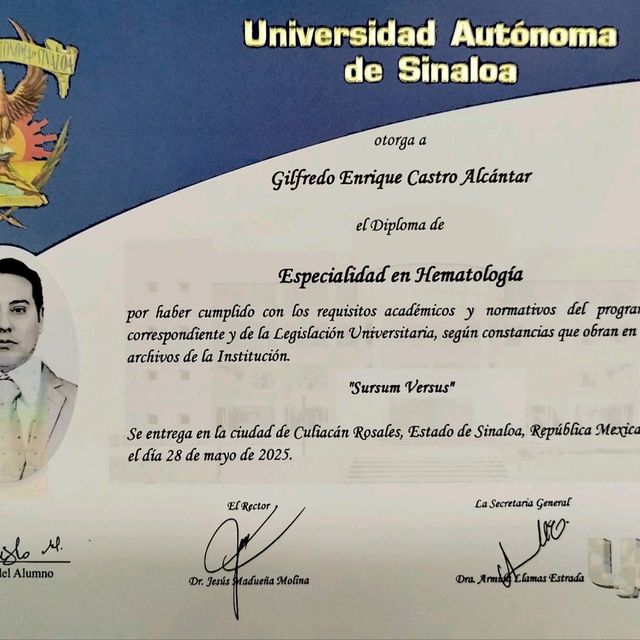 Ampliar imagen: certificate 3