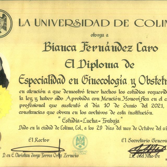 Ampliar imagen: certificate 1