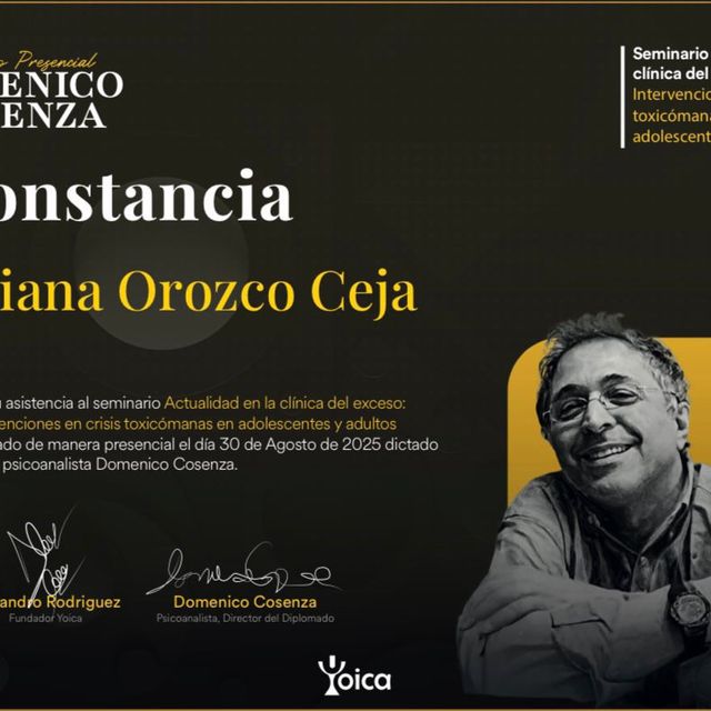 Ampliar imagen: certificate 23