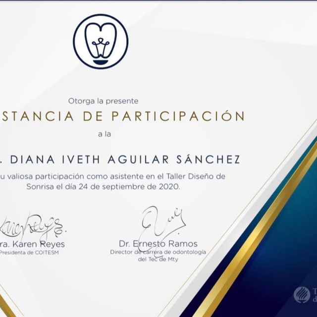 Ampliar imagen: certificate 4