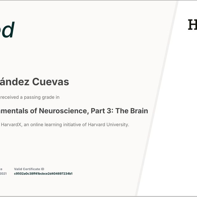 Ampliar imagen: certificate 5