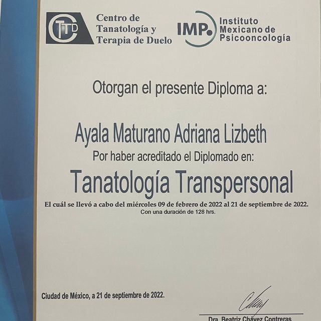 Ampliar imagen: certificate 1