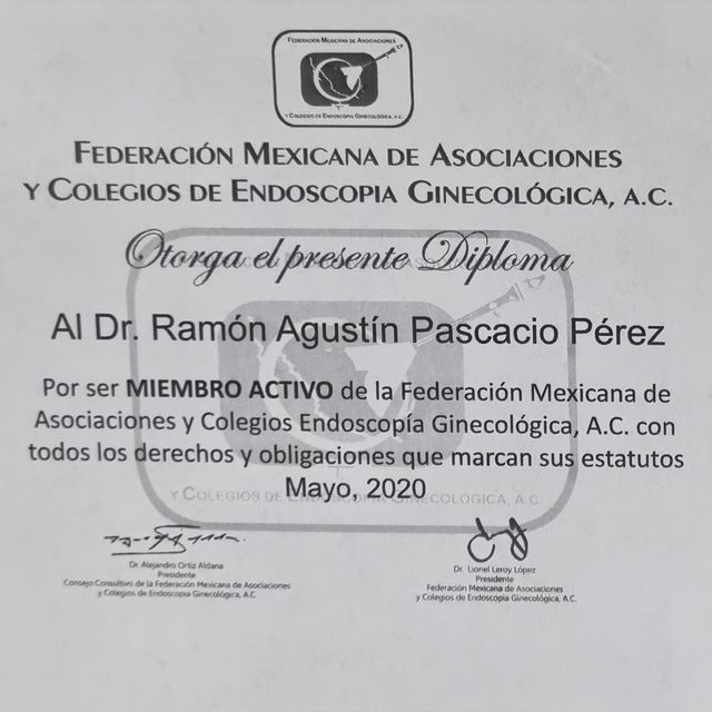 Ampliar imagen: certificate 51