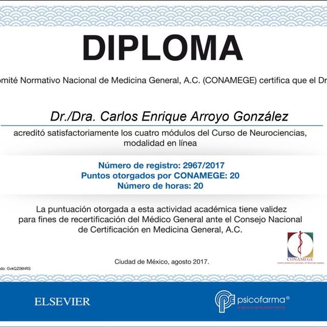 Ampliar imagen: certificate 13
