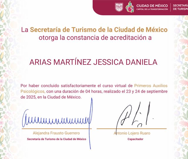 Ampliar imagen: certificate 4