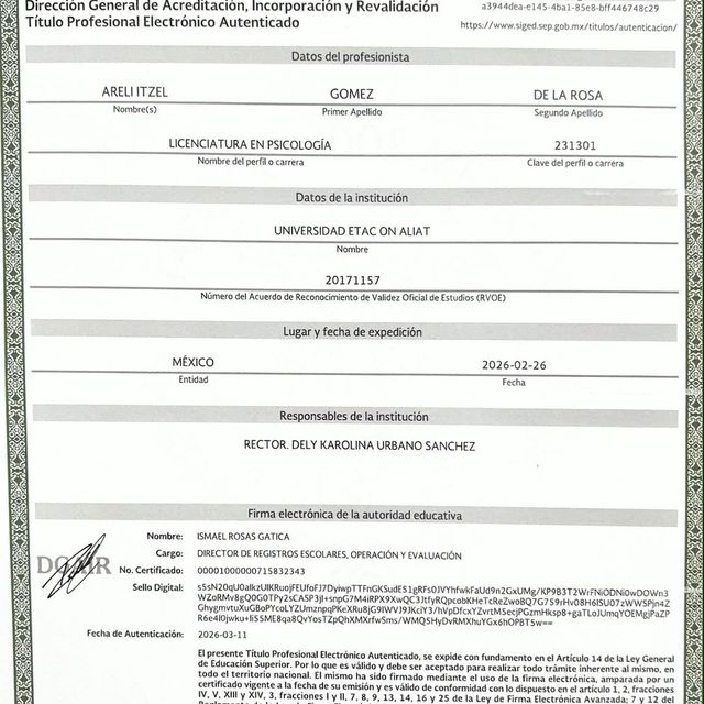 Ampliar imagen: certificate 4