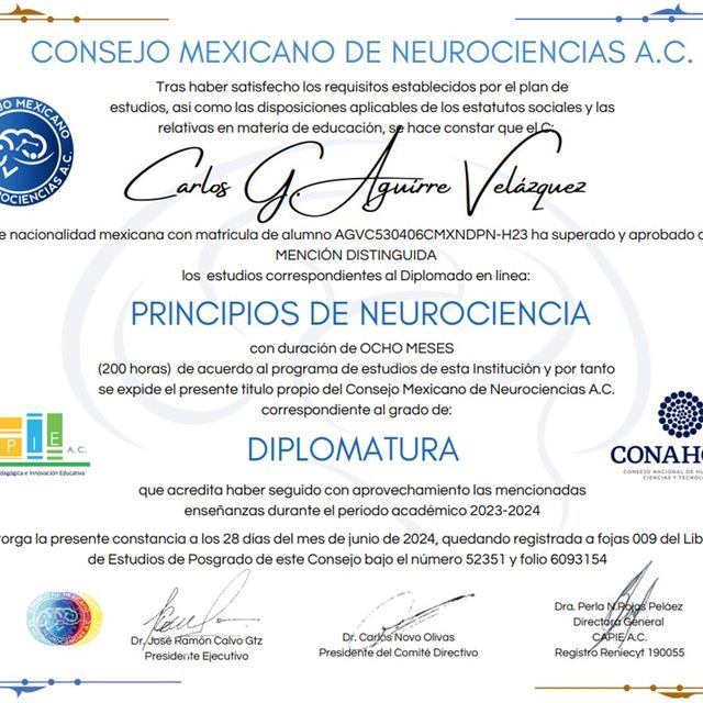 Ampliar imagen: certificate 5