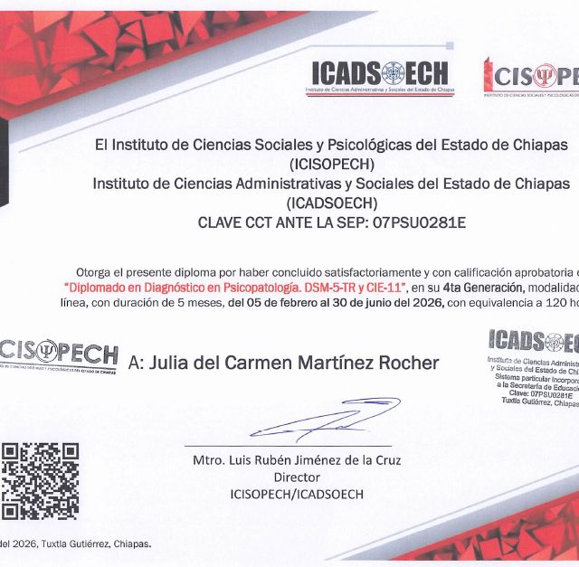 Ampliar imagen: certificate 9