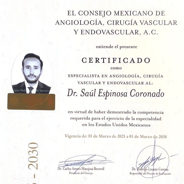 Ampliar imagen: certificate 3