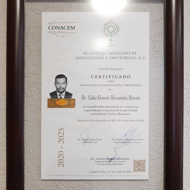 Ampliar imagen: certificate 1