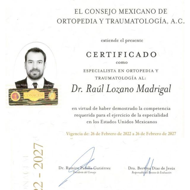 Ampliar imagen: certificate 1
