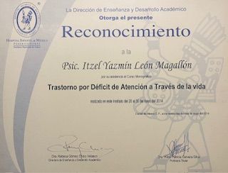 Ampliar imagen: certificate 10