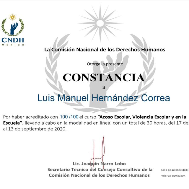 Ampliar imagen: certificate 8