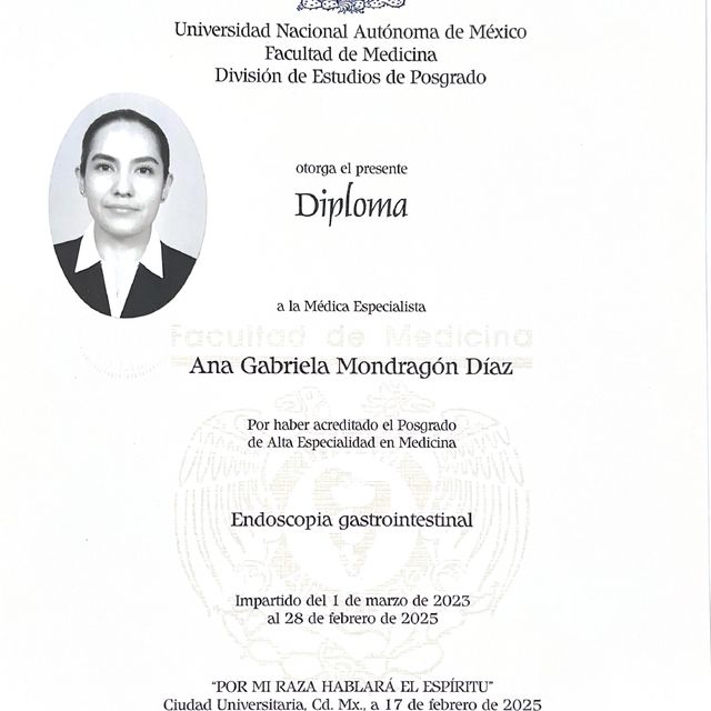 Ampliar imagen: certificate 3