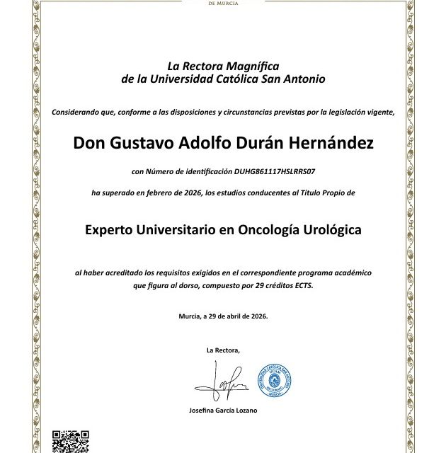 Ampliar imagen: certificate 5