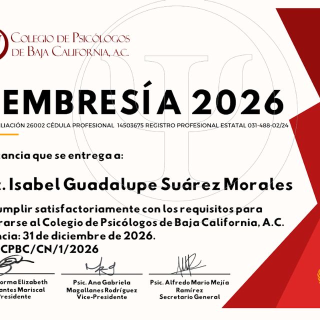 Ampliar imagen: certificate 4