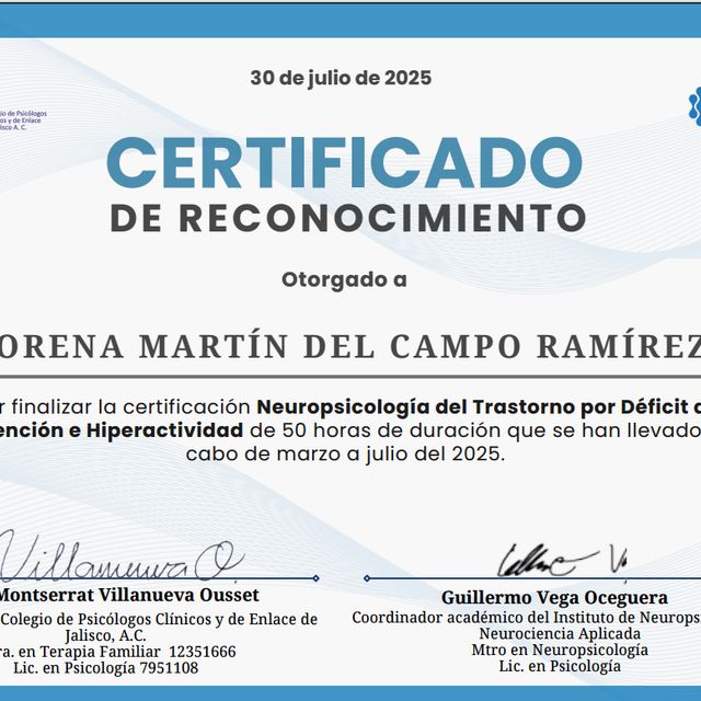 Ampliar imagen: certificate 4