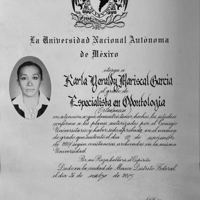 Ampliar imagen: certificate 3