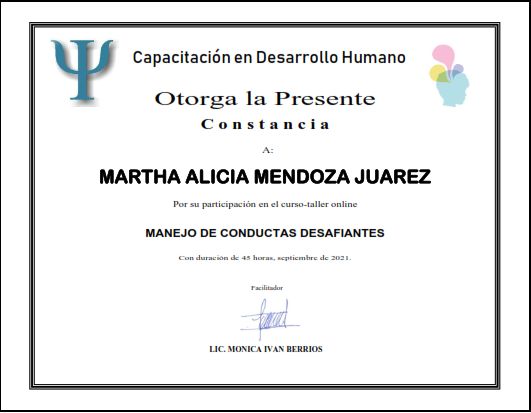 Ampliar imagen: certificate 8