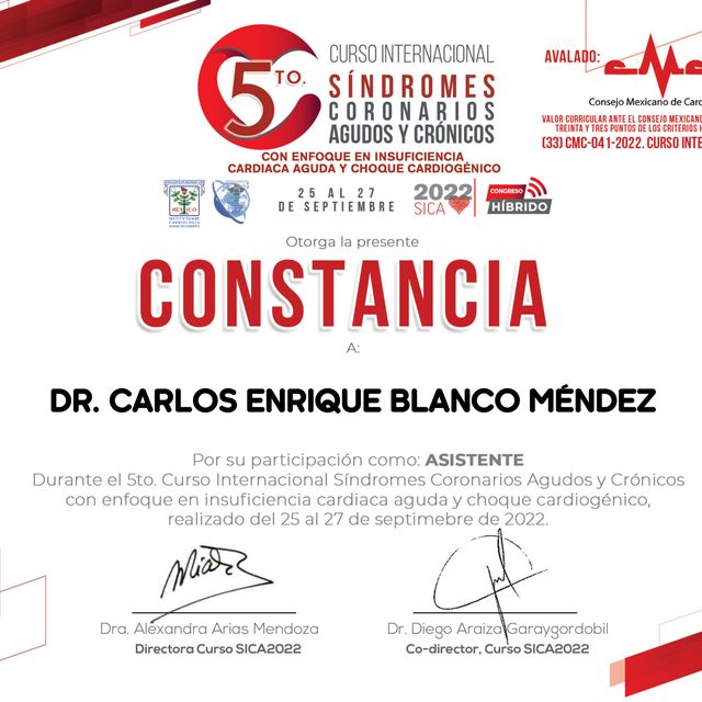 Ampliar imagen: certificate 9