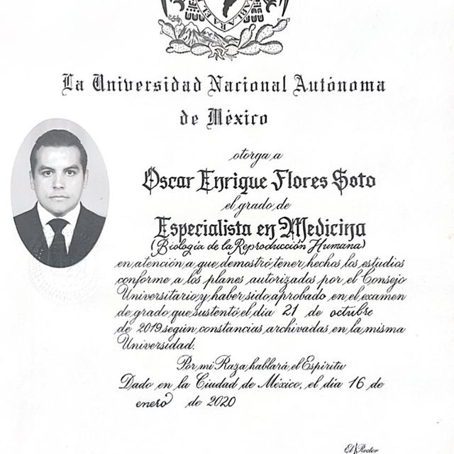 Ampliar imagen: certificate 5