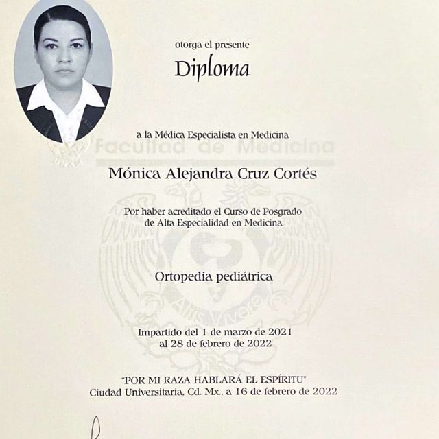 Ampliar imagen: certificate 5