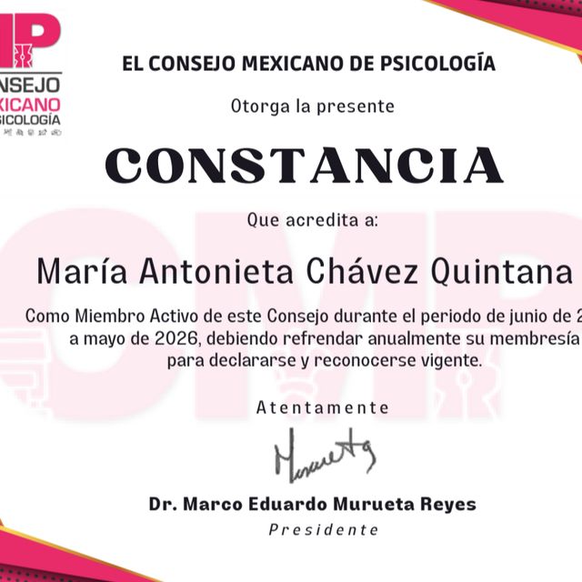 Ampliar imagen: certificate 2