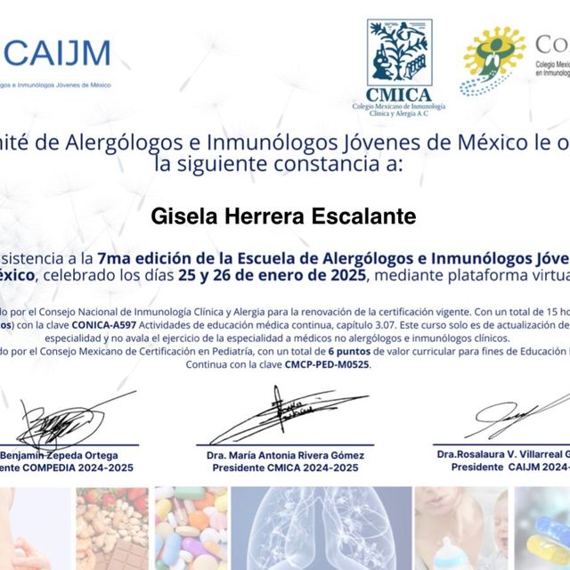 Ampliar imagen: certificate 5