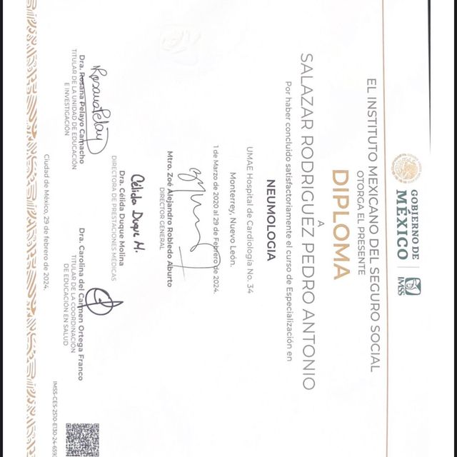 Ampliar imagen: certificate 3