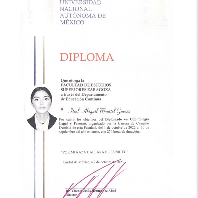 Ampliar imagen: certificate 3