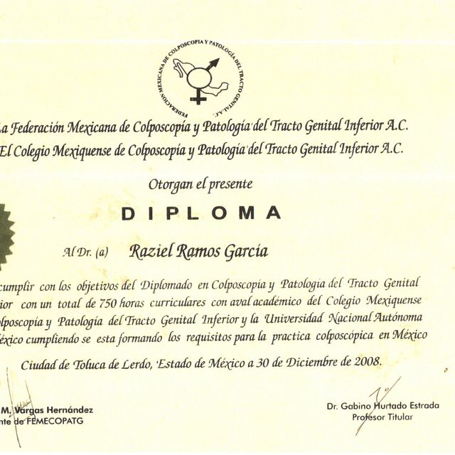 Ampliar imagen: certificate 8