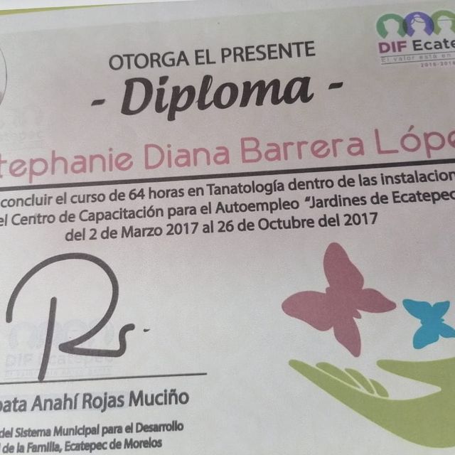 Ampliar imagen: certificate 25