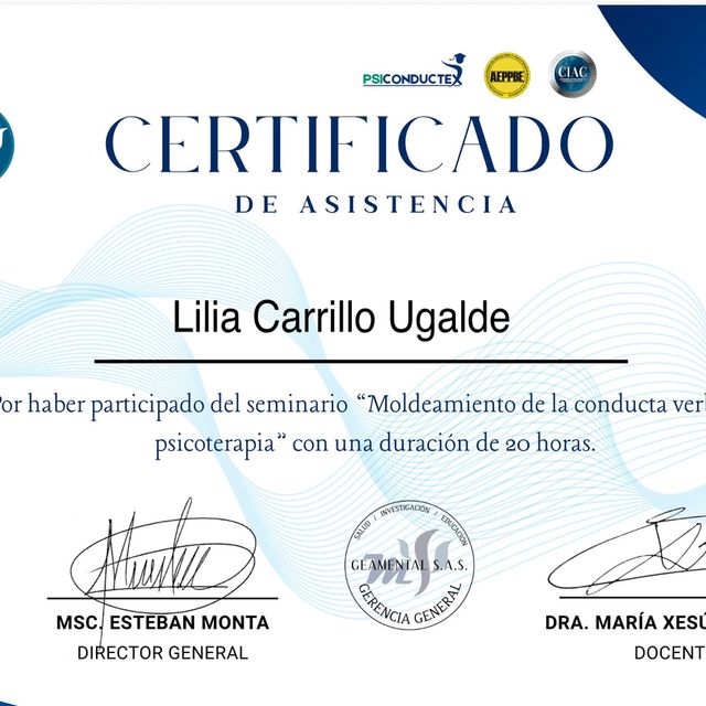 Ampliar imagen: certificate 2