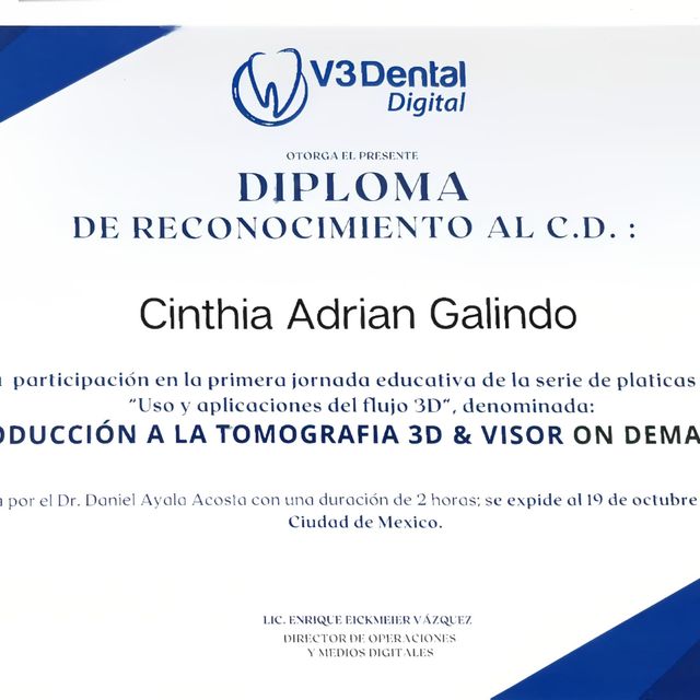 Ampliar imagen: certificate 3