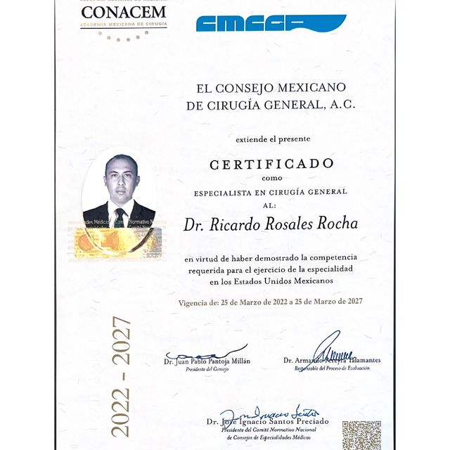 Ampliar imagen: certificate 5