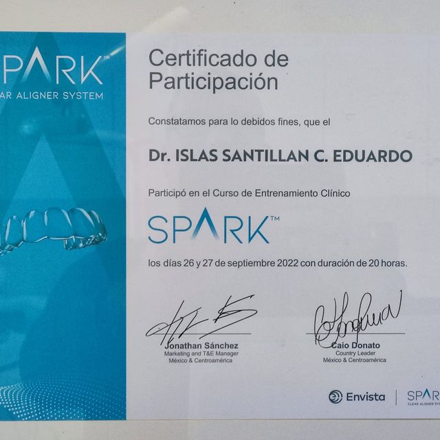 Ampliar imagen: certificate 4