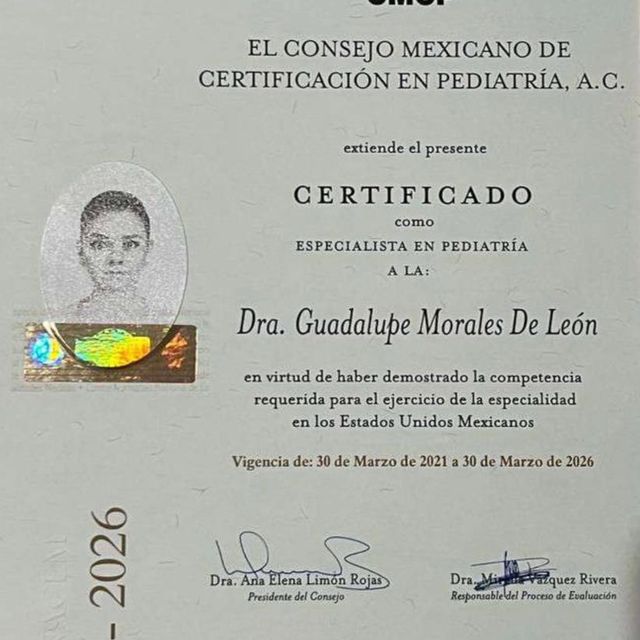 Ampliar imagen: certificate 2