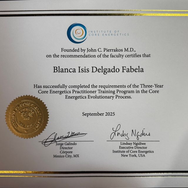 Ampliar imagen: certificate 6