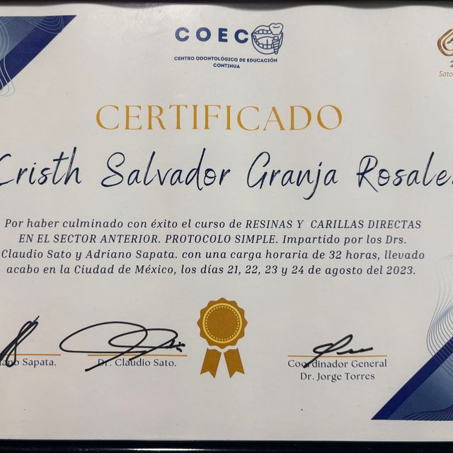 Ampliar imagen: certificate 5