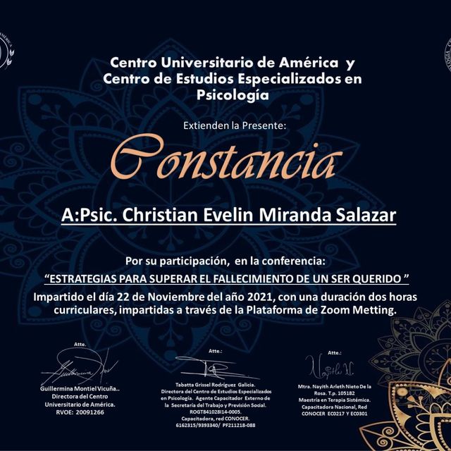 Ampliar imagen: certificate 5