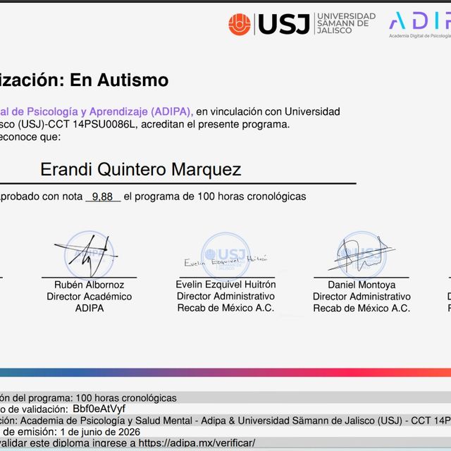 Ampliar imagen: certificate 33