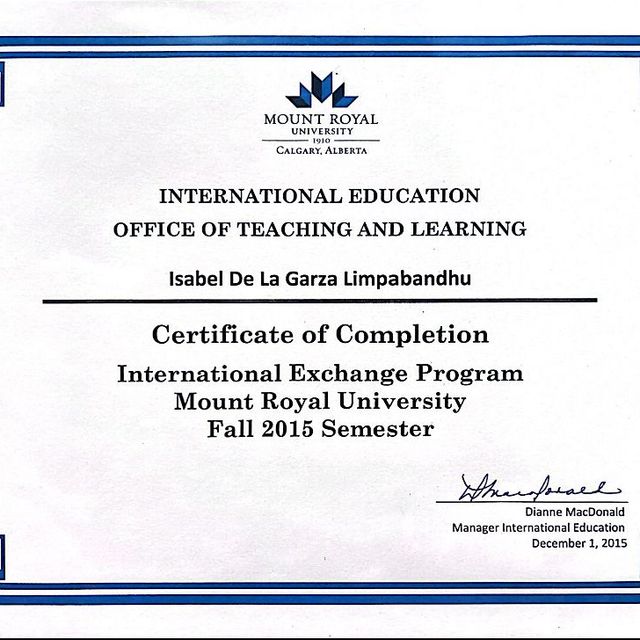 Ampliar imagen: certificate 8