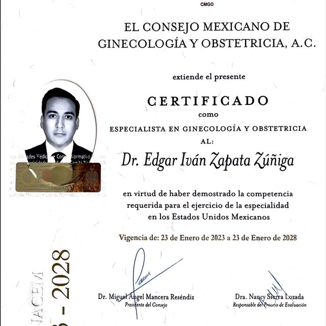Ampliar imagen: certificate 1