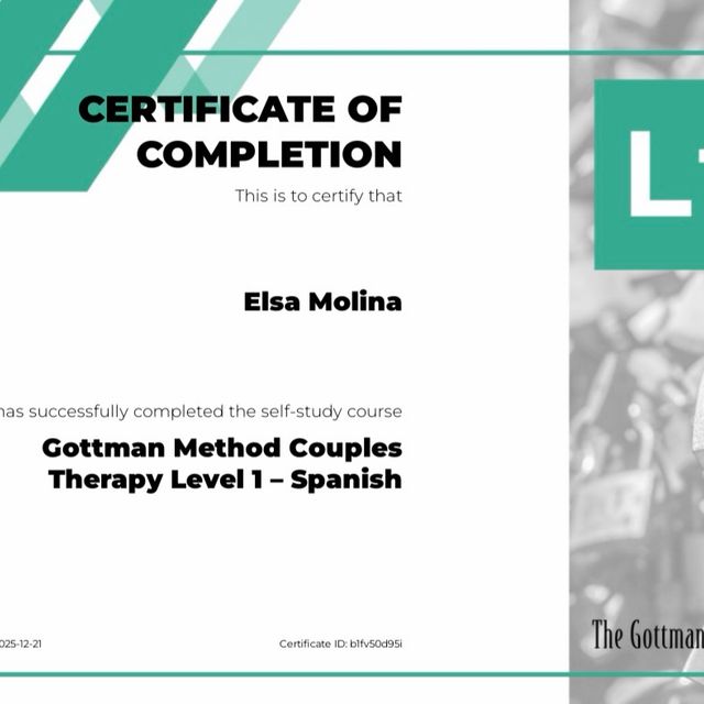 Ampliar imagen: certificate 7