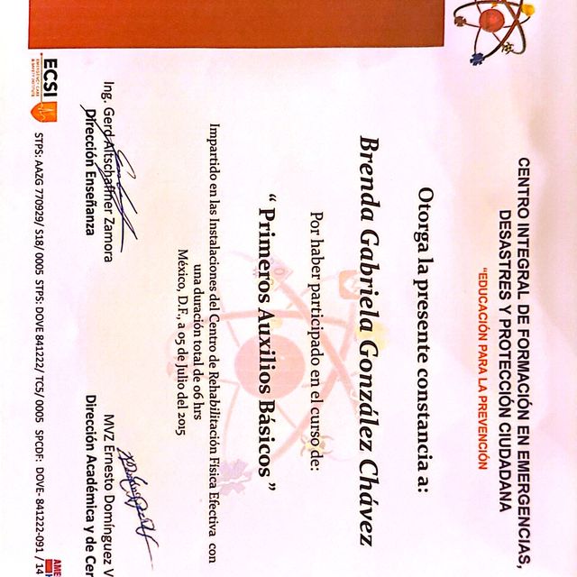 Ampliar imagen: certificate 16